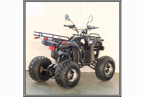 50CC 125CC Quad Bike ATV 100CC With CE WMI Approved