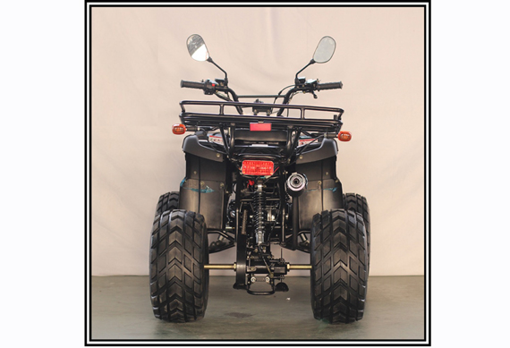 cheap 110cc cool sports atv loncin in zhejiang province