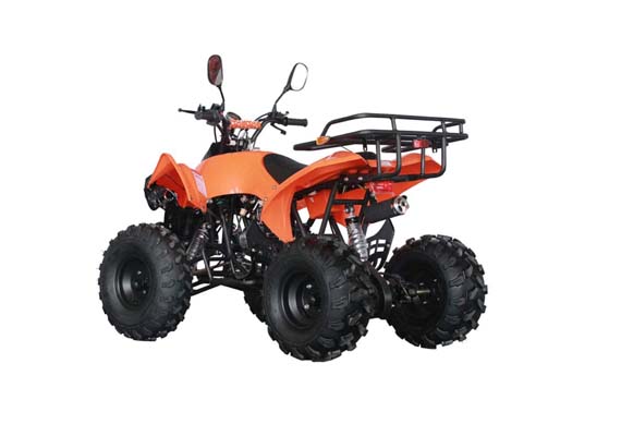 New Fashion Chinese Lifan 107CC ATV For Adults