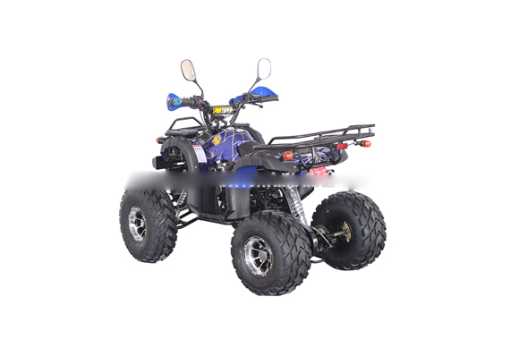 The EPA certification 110 cc racing atv for sale