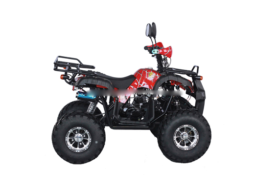 All kind of 110cc mini atv amphibious vehicles racing atv for sale