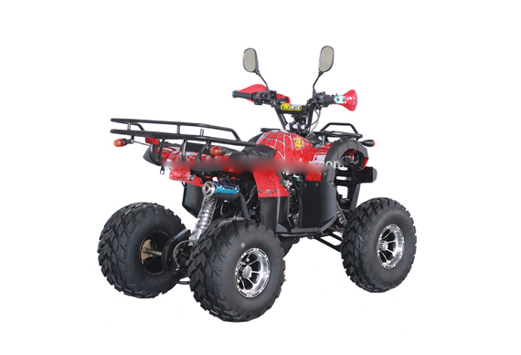 All kind of 110cc mini atv amphibious vehicles racing atv for sale