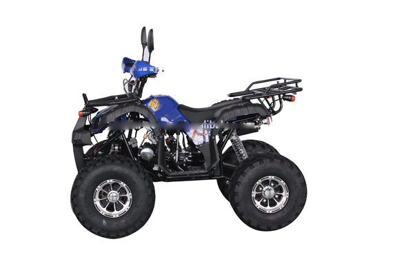 All kind of 110cc mini atv amphibious vehicles racing atv for sale