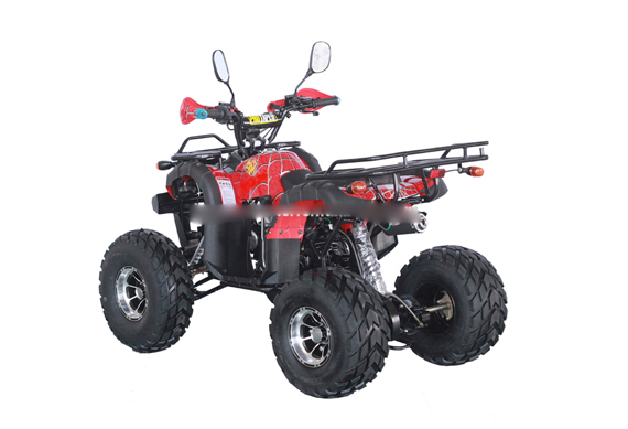 All kind of 110cc mini atv amphibious vehicles racing atv for sale