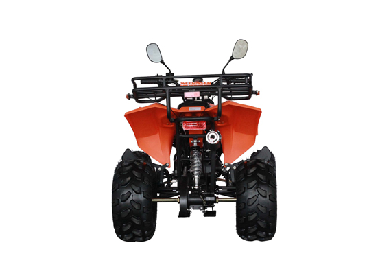 Cheap differential sports chain drive quad atv