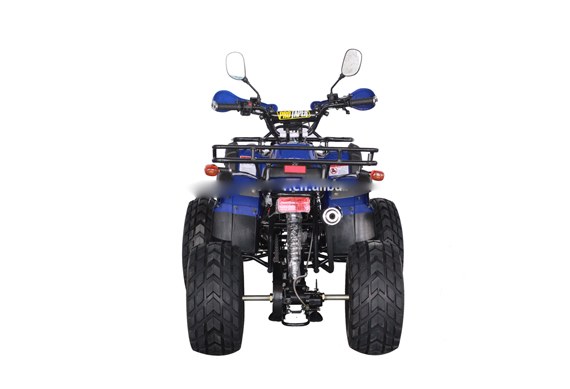 China cheap 125cc atv two seats vehicle price