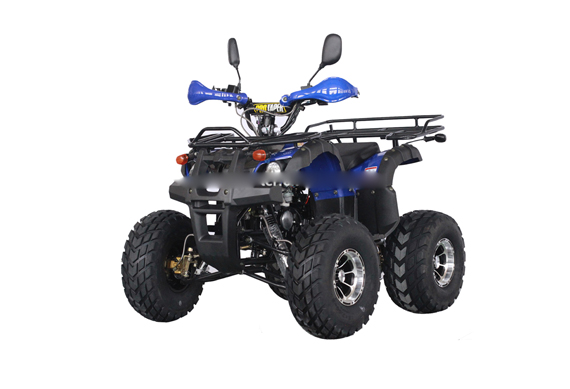 China cheap 125cc atv two seats vehicle price