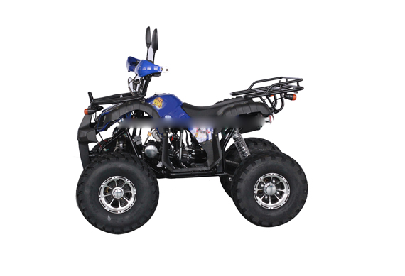 China cheap 125cc atv two seats vehicle price