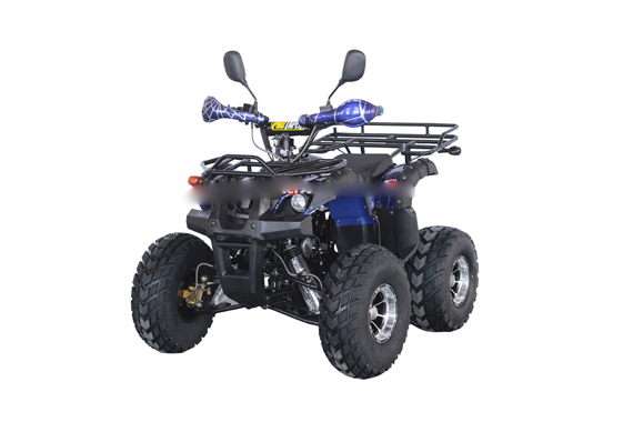 China cheap 125cc atv two seats vehicle price