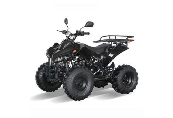 Smart brand 125cc quad atv for sale in malaysia