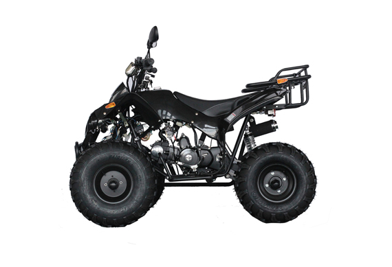 Smart brand 125cc quad atv for sale in malaysia