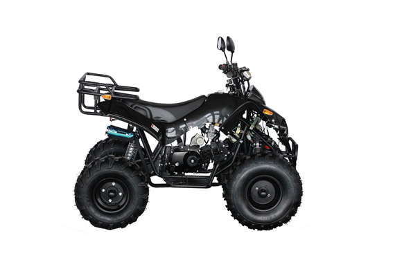 Smart brand 125cc quad atv for sale in malaysia