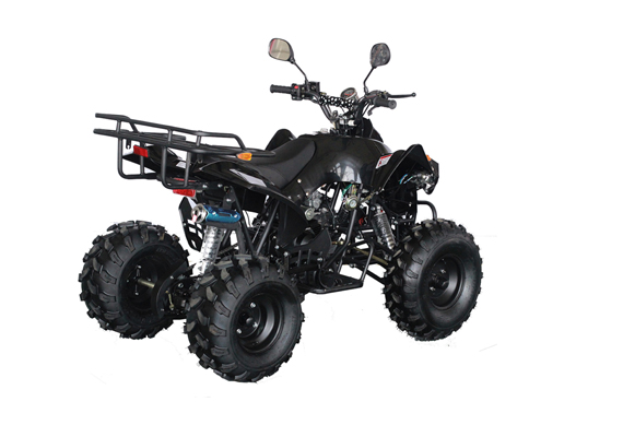 Smart brand 125cc quad atv for sale in malaysia