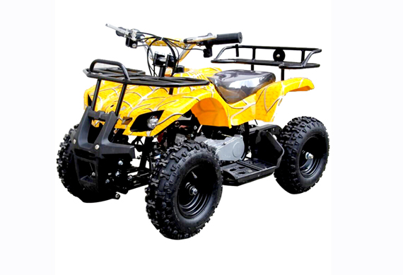 49cc 2 Stroke Mini Quad Gas Power Car ATV for Kids