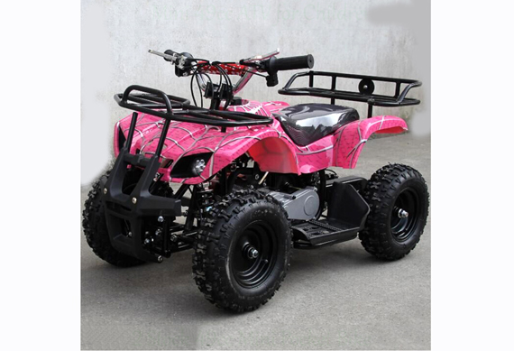 49cc 2 Stroke Mini Quad Gas Power Car ATV for Kids