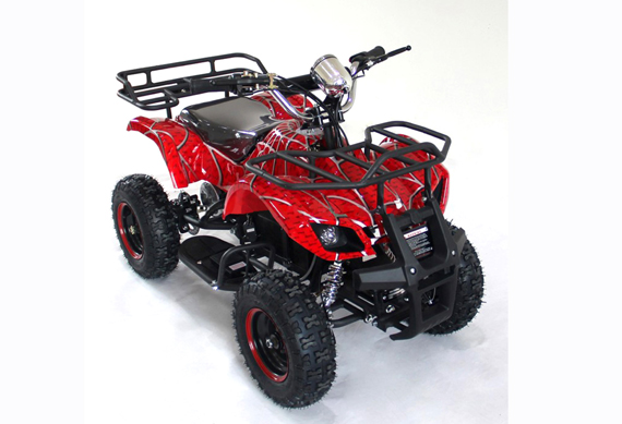 49cc 2 Stroke Mini Quad Gas Power Car ATV for Kids