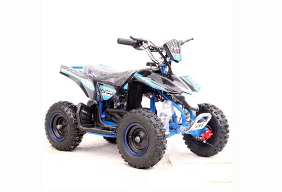 Chinese Old Quad Bike 49CC Mini 2-Stroke Motors ATV For Sale