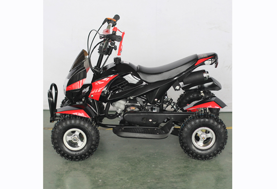 50CC Mini Quad Moto Bike Chinois For Kids