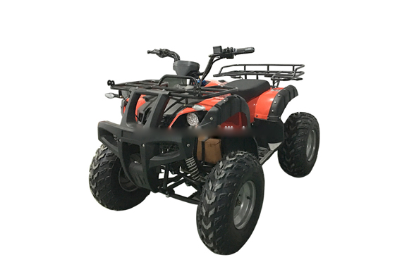 Factory Direct Sale Stable Quality Quad Adult Electric ATV 3000W