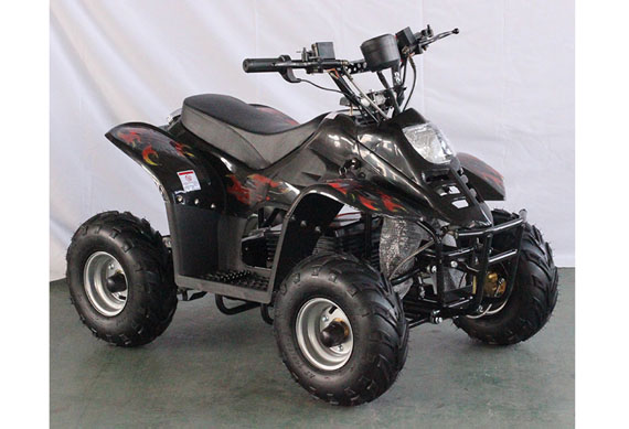 Motorcycle ATV Quad Electric 1000W ATV
