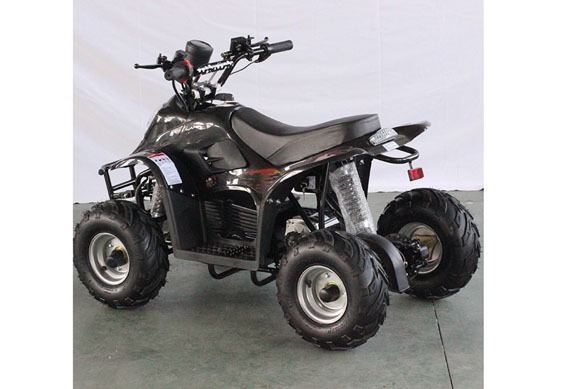 Motorcycle ATV Quad Electric 1000W ATV