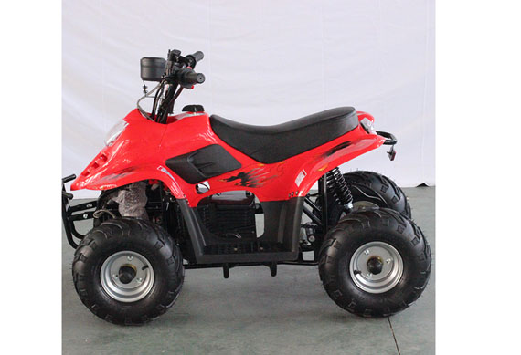 Motorcycle ATV Quad Electric 1000W ATV