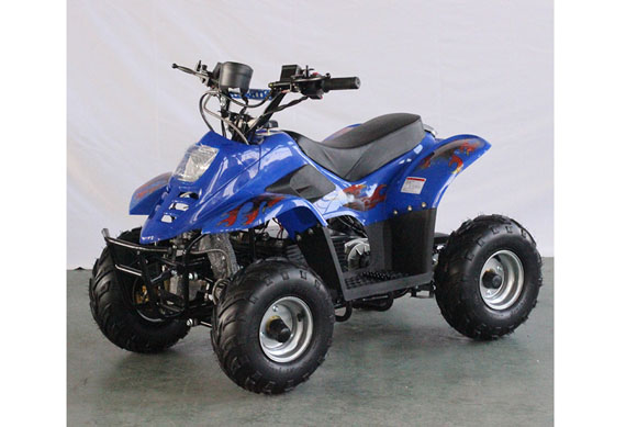 Motorcycle ATV Quad Electric 1000W ATV