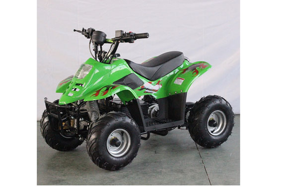 Motorcycle ATV Quad Electric 1000W ATV