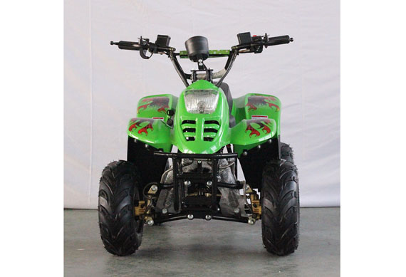 Motorcycle ATV Quad Electric 1000W ATV