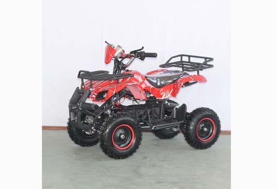 Fast Children\'s Electric ATV 350W