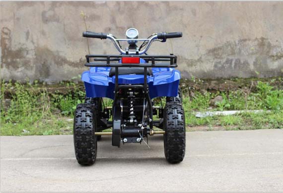 Fast Children's Electric ATV 350W