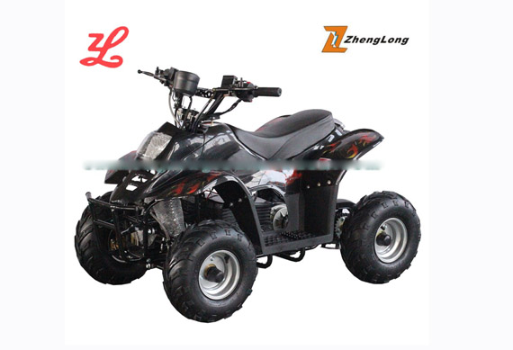 Double motor drive quad bike/electric atv 36v 1000w quad buggy