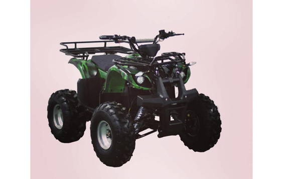 Chinese 60V Electric ATV 1000W for Sale