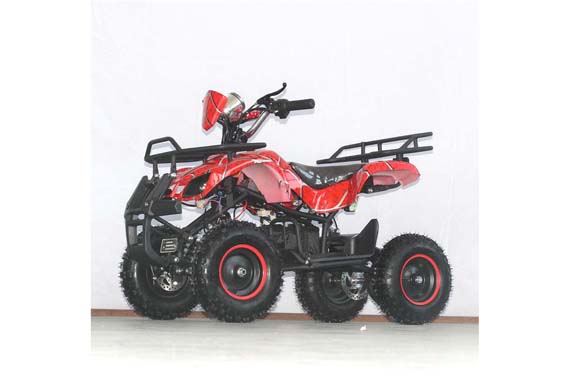 Cheap Electric Street Legal ATV Quad 4 Wheeler With 500W 800W 1000W 36V