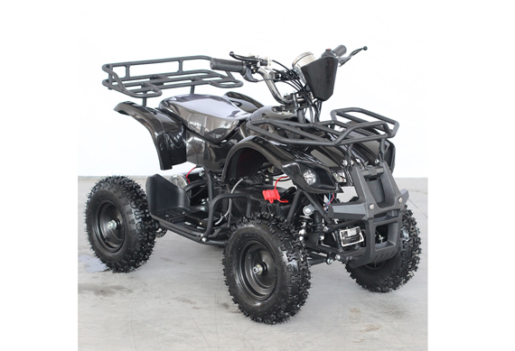 Popular custom hot sell unique design atv for sale