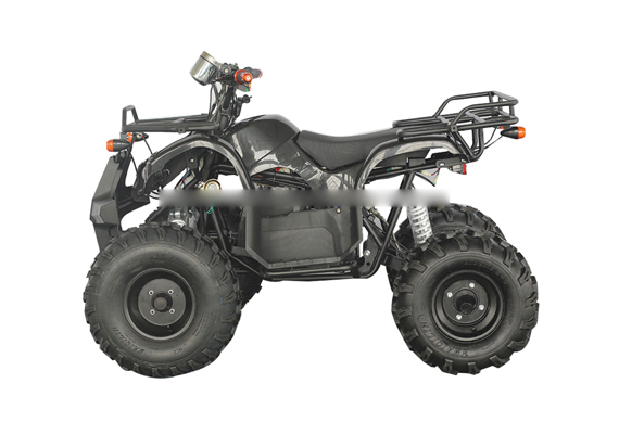 High quality 1000W 60V powerful adult electric 4x4 atv