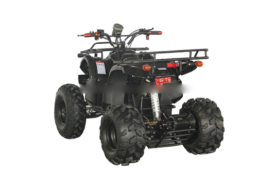 High quality 1000W 60V powerful adult electric 4x4 atv