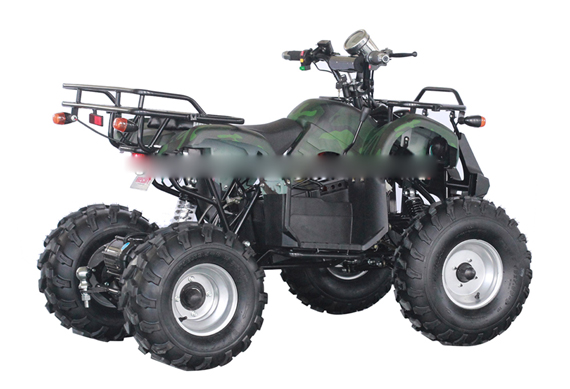 Cheap 4 wheelerelectric atv 4x4 adult 1000w electric mini quad