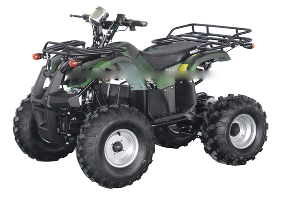 Cheap 4 wheelerelectric atv 4x4 adult 1000w electric mini quad