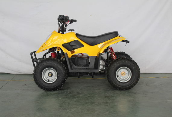 fast 800watt quad electric atv