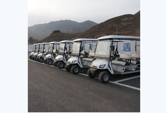 Electric golf carts for hotels and airports