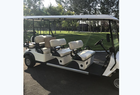 Electric golf carts for hotels and airports