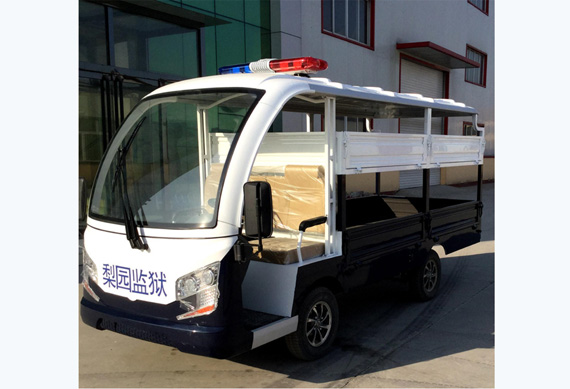 Zhongyi low price electric car for project used custom made