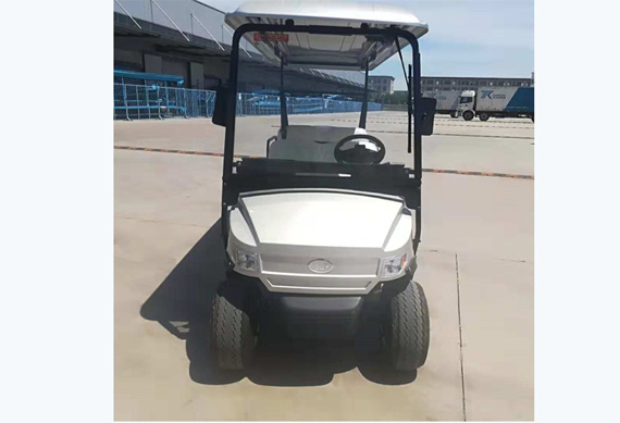 Chinese supplier 2 seater electric golf carfor sale