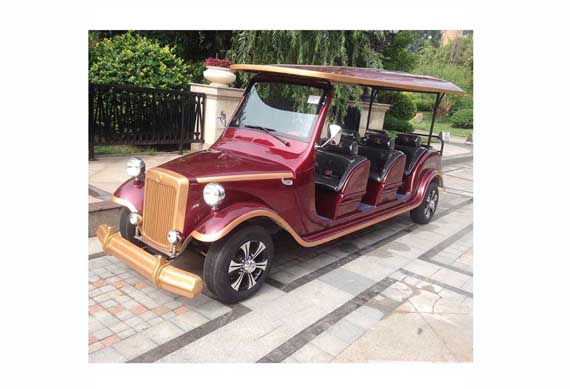 Custom unique electric sightseeing car