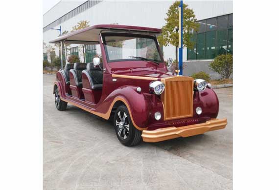 Custom unique electric sightseeing car