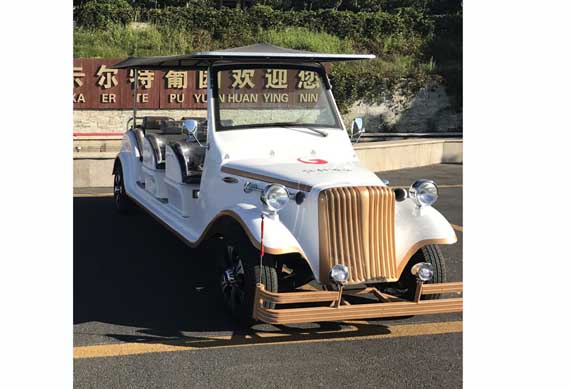 6 seats electric classic car for hotel