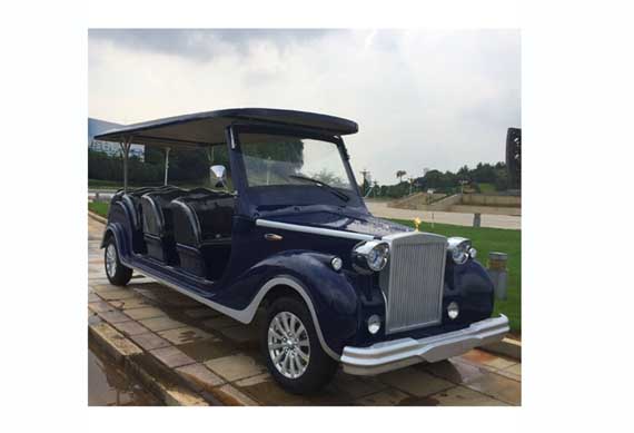 8 seats newest popular chinese electric classic car electric vehicle for sale