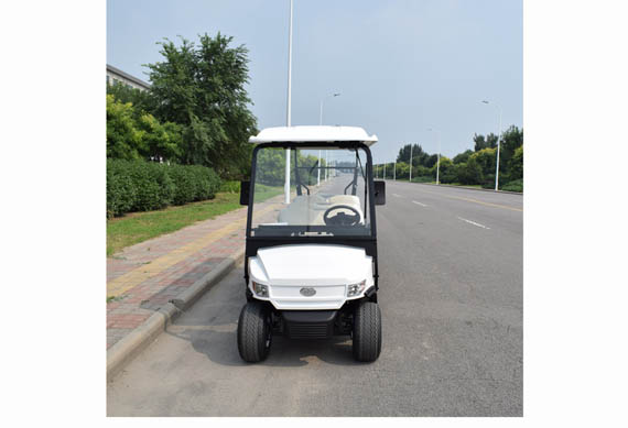 Electric Golf Car For Sale With 2 or 4 or 6 or 8 Seater Electric Golf Cart