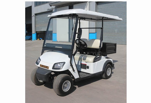 Electric Golf Car For Sale With 2 or 4 or 6 or 8 Seater Electric Golf Cart